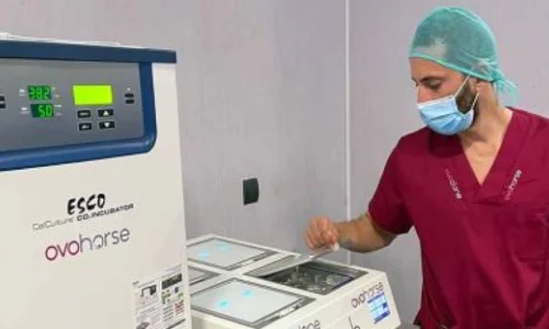 LOS ORÍGENES DE LA CLONACIÓN ANIMAL Y LAS TÉCNICAS ACTUALES