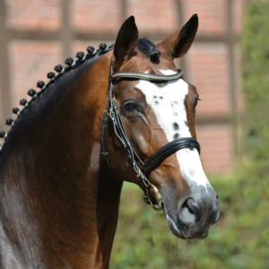Balou du Rouet