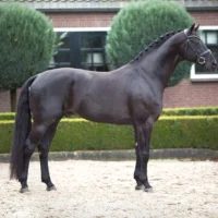 Glamourdale - Imagen 5