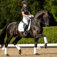Glamourdale - Imagen 7