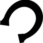 clonación de caballos