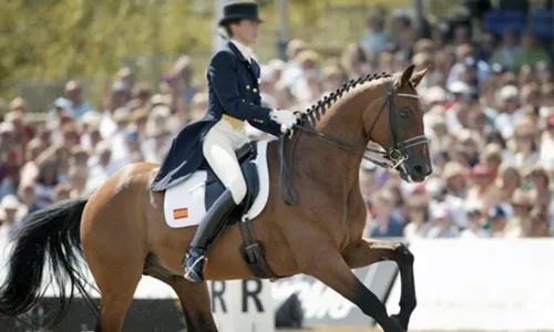 Beauvalais: la leyenda de la doma renace con Ovohorse