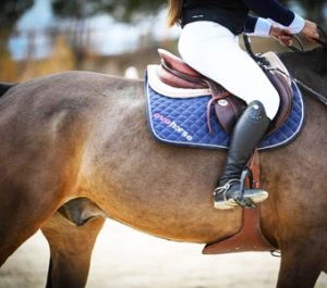 Caballo-Ovohorse-300x265-1