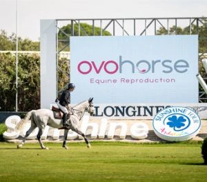 Sunshine-Tour-2023-Ovohorse-300x265-1