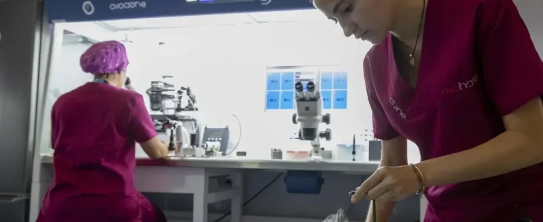 Clonación animal: así avanza la Ciencia en nuestro laboratorio