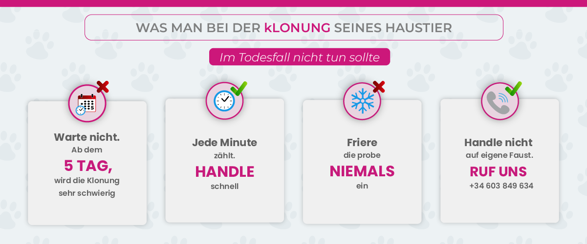 Mein Haustier ist verstorben