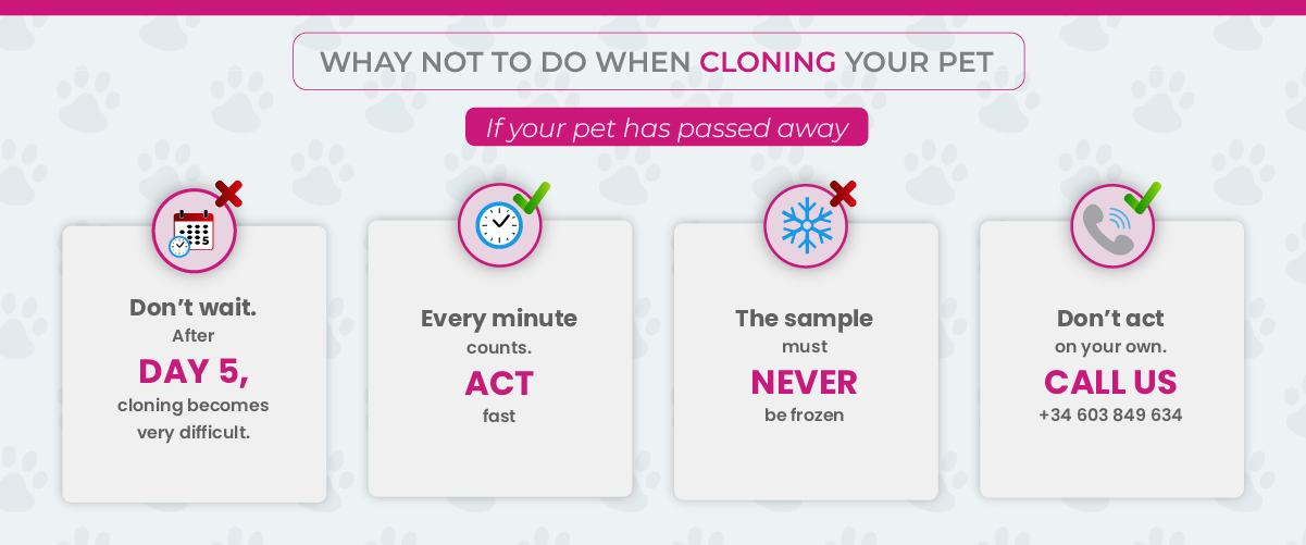 Pet has died and I need solutions My pet has died